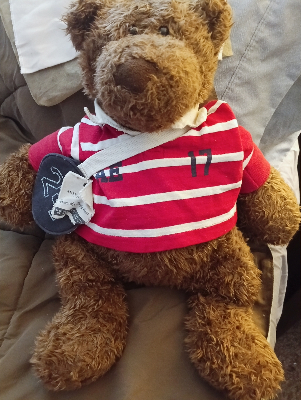 American Eagle Outfitters Roscoe the Rugby Bear Sweater Plush Stuffed Toy